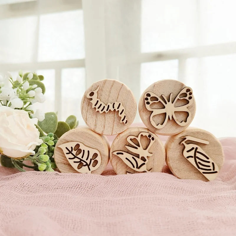 Wooden Montessori PlayDough Set Butterfly cycle 
