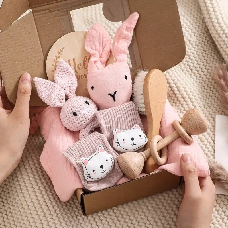 Baby Gift Box- Pink Snuggle